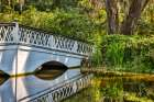 USA- South Carolina- Charleston. Magnolia Plantation Coastal Print